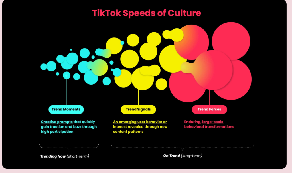 TikTok Speeds of culture